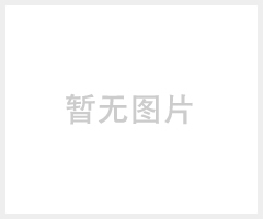 XL-6XL Flower Gloves高能见度反光安全服